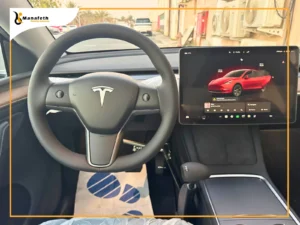 Carospeed Menox Hand Control installed in Tesla