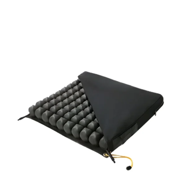 Dual Compartment Cushion