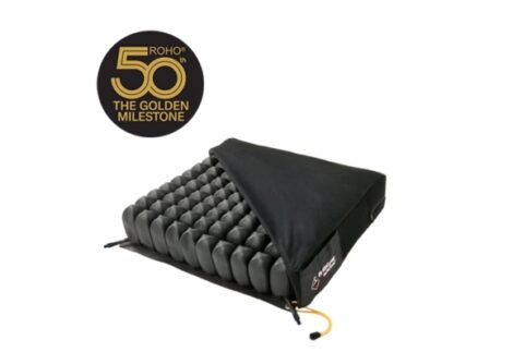 Dual Compartment Cushion