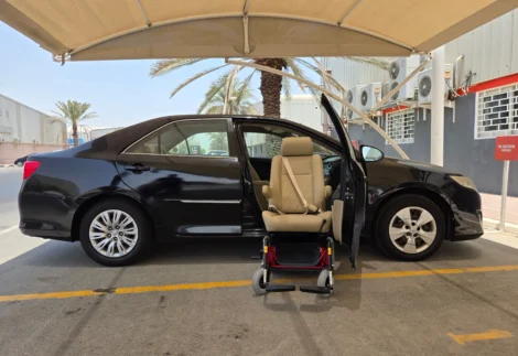 Turnout Car Swivel Seat with Carony